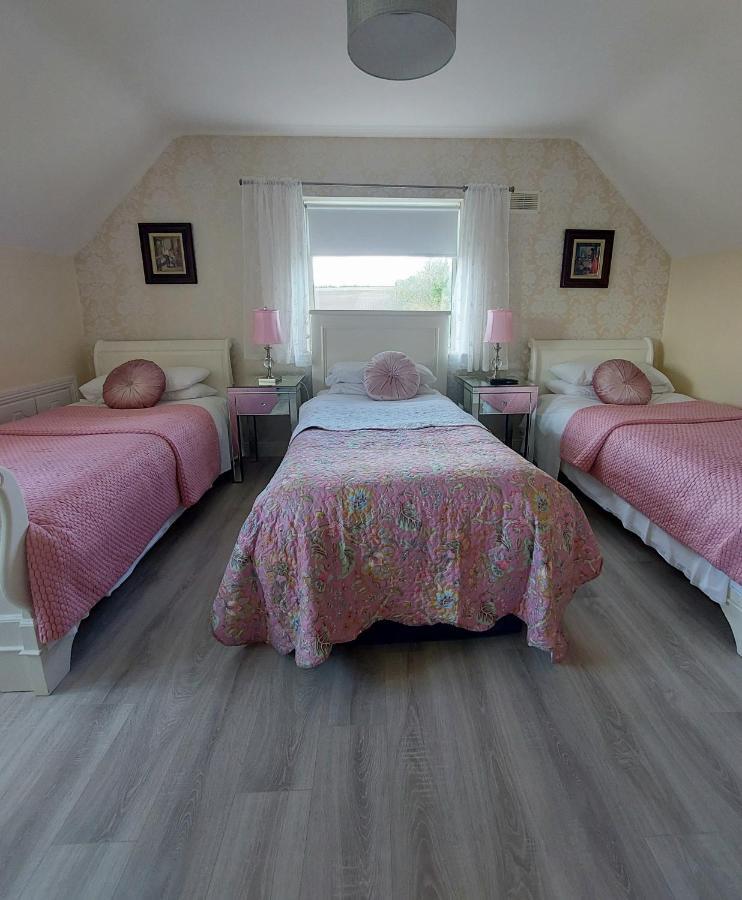 Brandon View House B&B Graiguenamanagh Exteriér fotografie