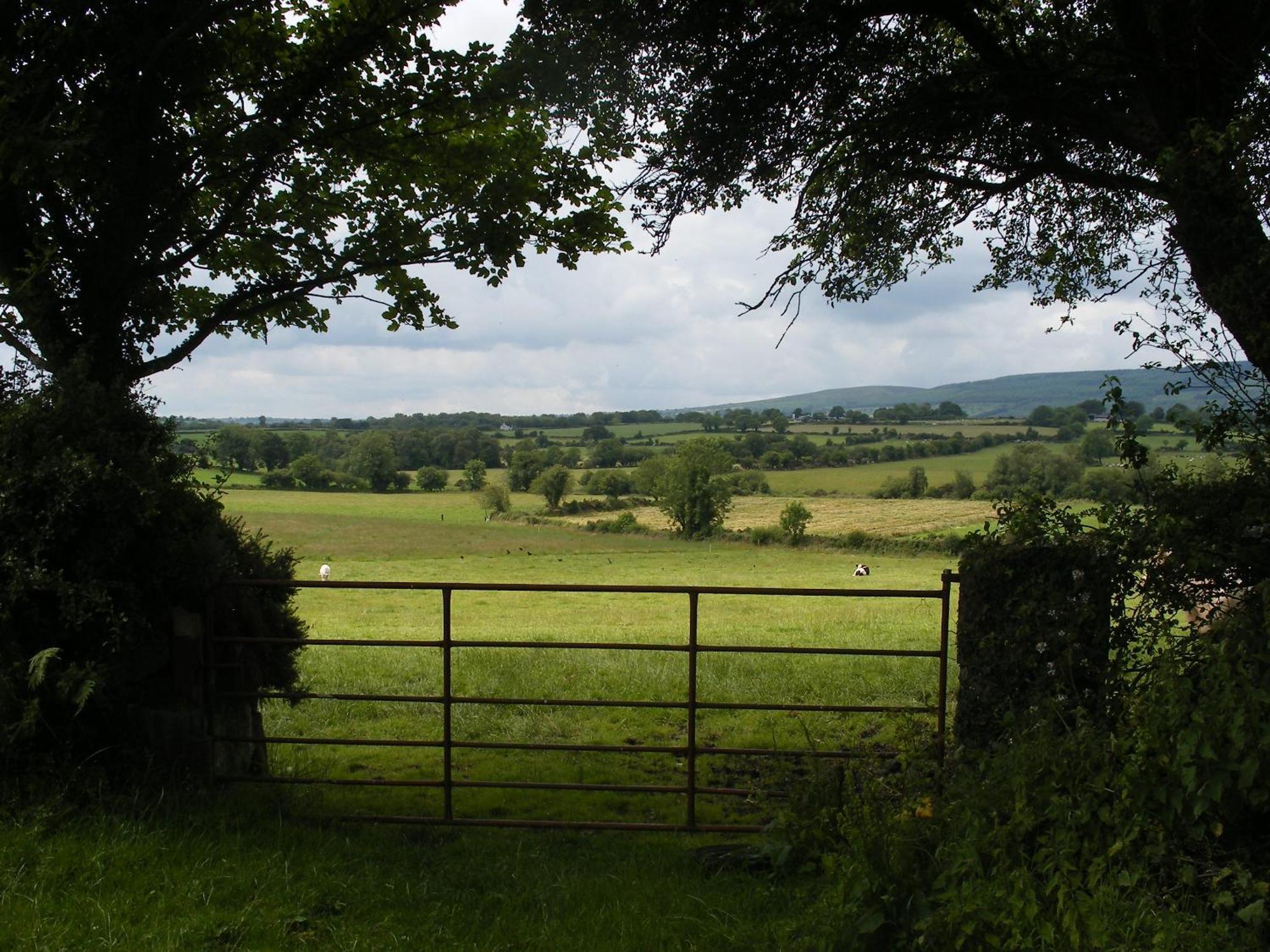 Brandon View House B&B Graiguenamanagh Exteriér fotografie