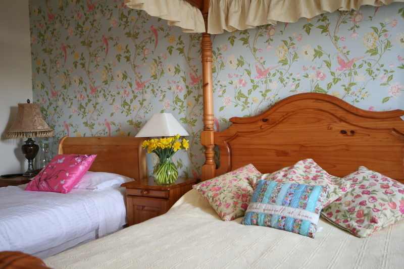 Brandon View House B&B Graiguenamanagh Exteriér fotografie