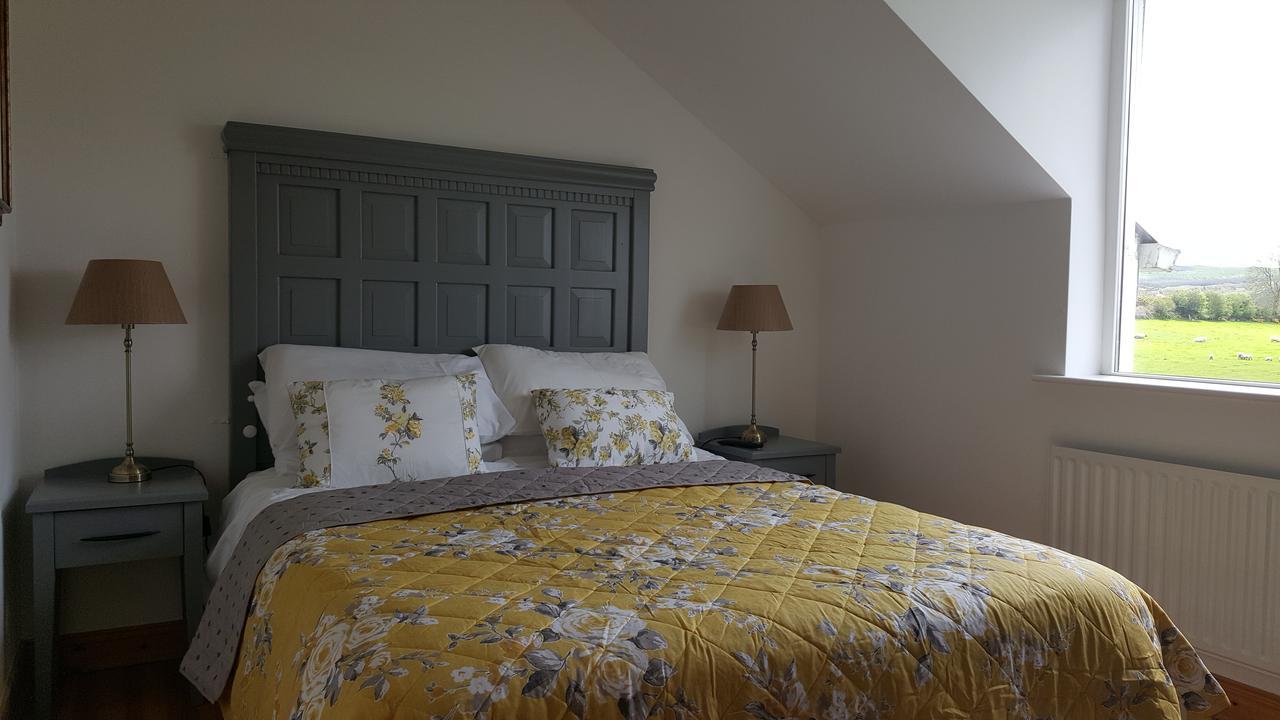 Brandon View House B&B Graiguenamanagh Exteriér fotografie
