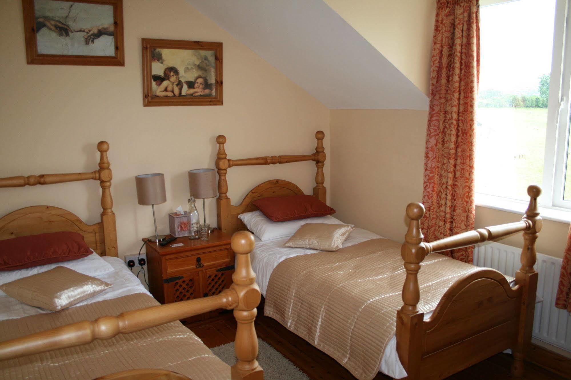 Brandon View House B&B Graiguenamanagh Exteriér fotografie