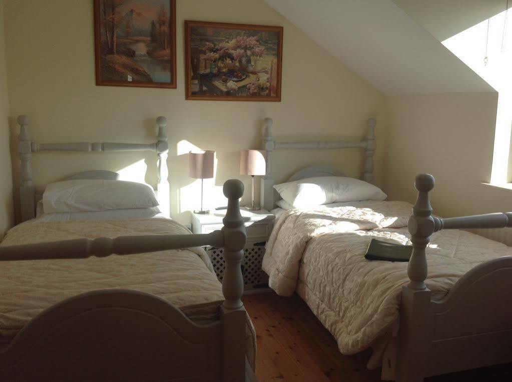 Brandon View House B&B Graiguenamanagh Exteriér fotografie