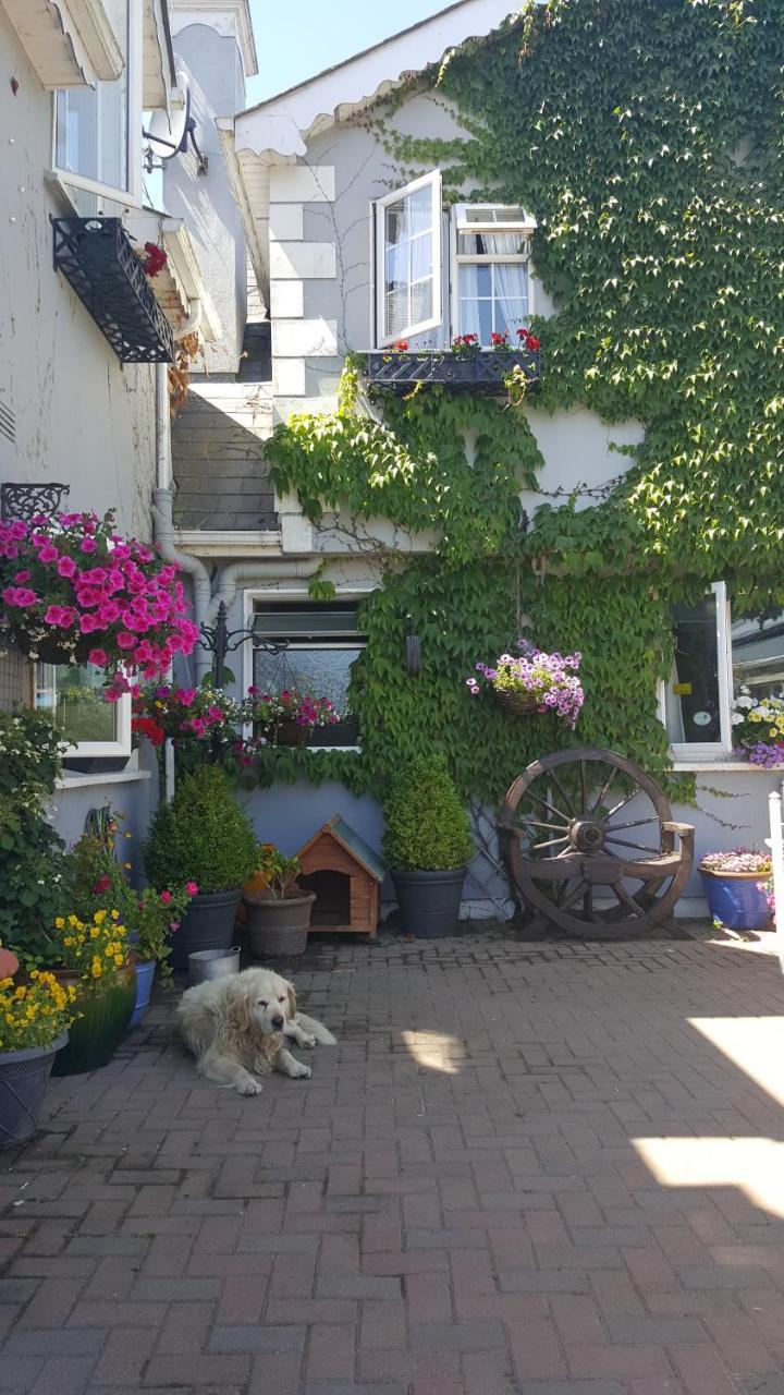 Brandon View House B&B Graiguenamanagh Exteriér fotografie