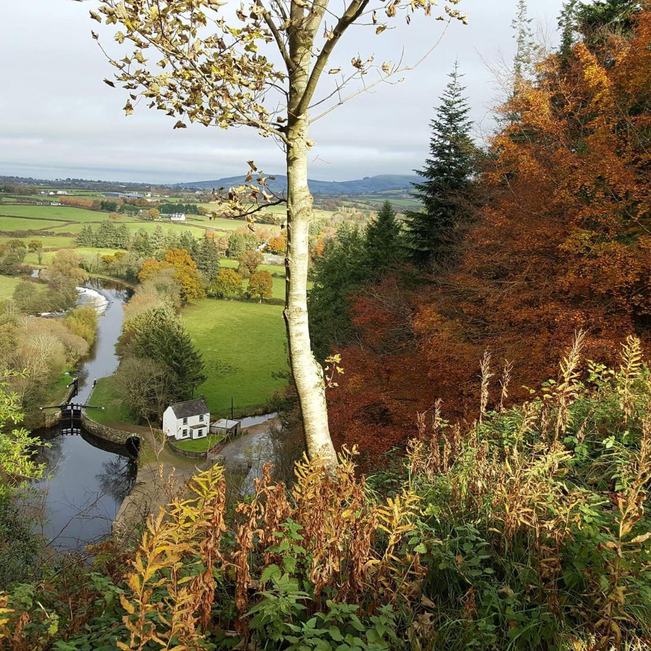 Brandon View House B&B Graiguenamanagh Exteriér fotografie